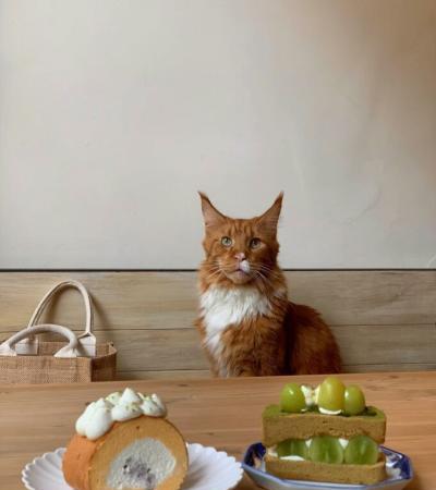 臺北甜點11間巷弄甜點店，高評價手工現做，北部最甜之旅 post thumbnail image